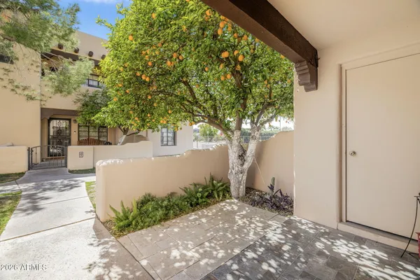 a view of a house with a tree and front a yard