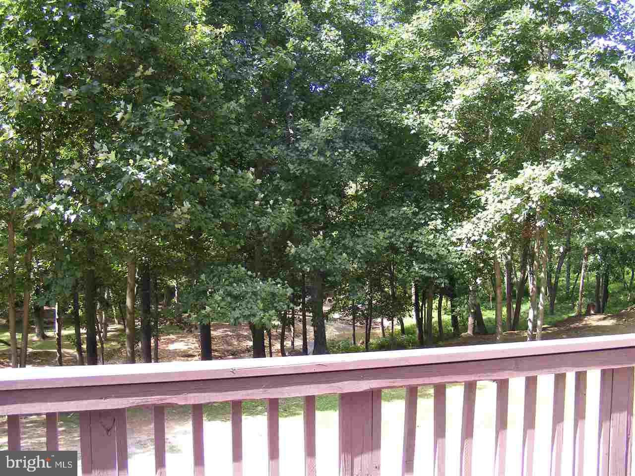 350 Meadow Road York, PA 17406 - Photo 5 of 36 Gallery Image 5