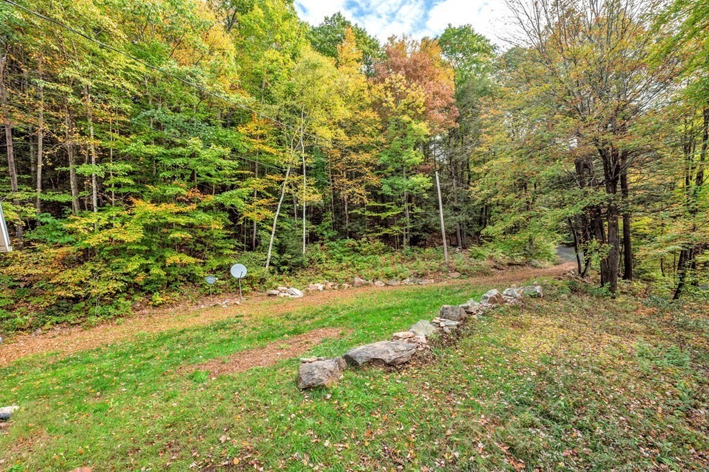 19 Broderick Road Monterey, MA 01245 - Photo 6 of 15 a view of a yard with large trees