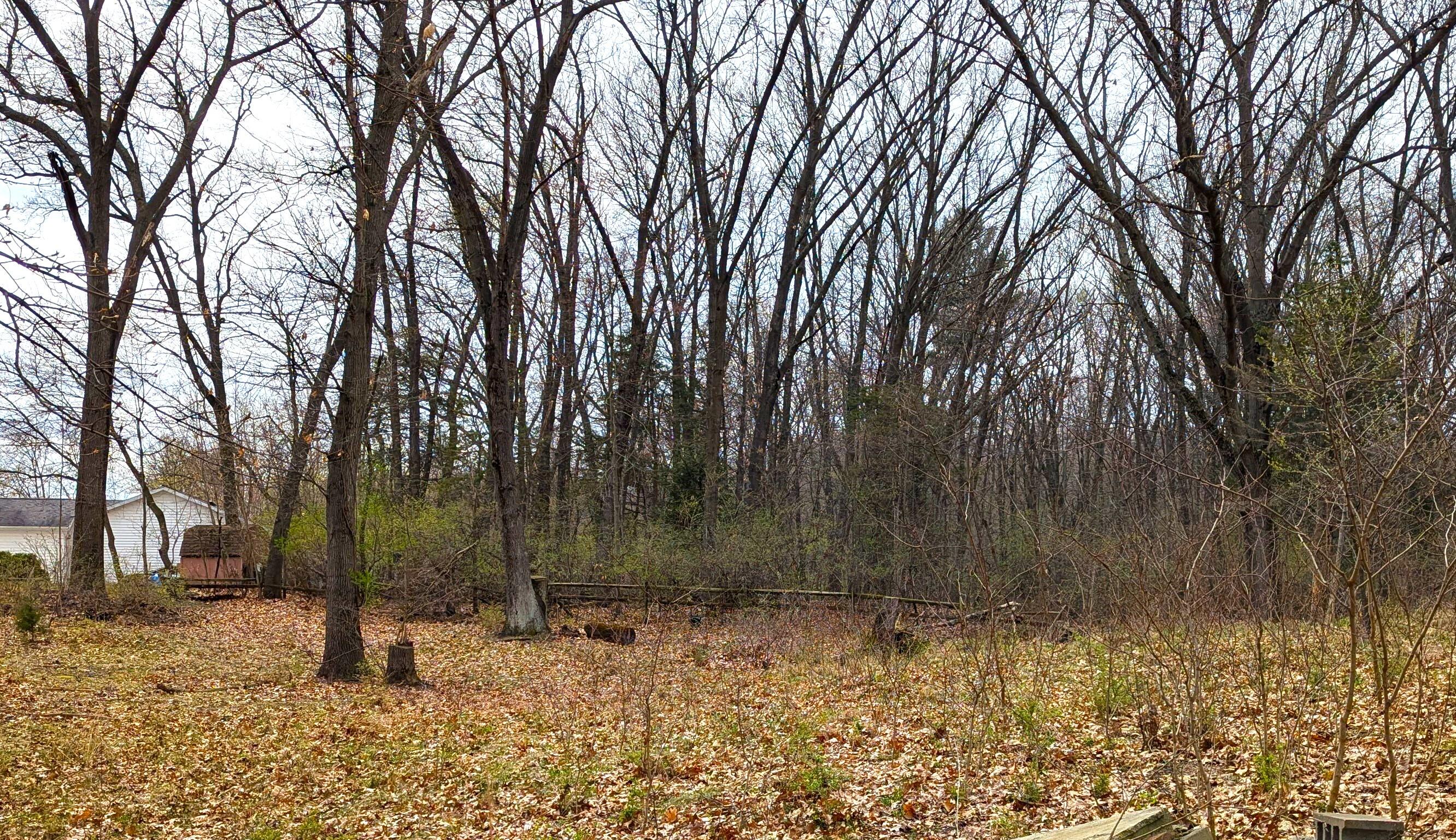 0 Burkhart Road Jackson, MI 49201 - Photo 3 of 10 Center