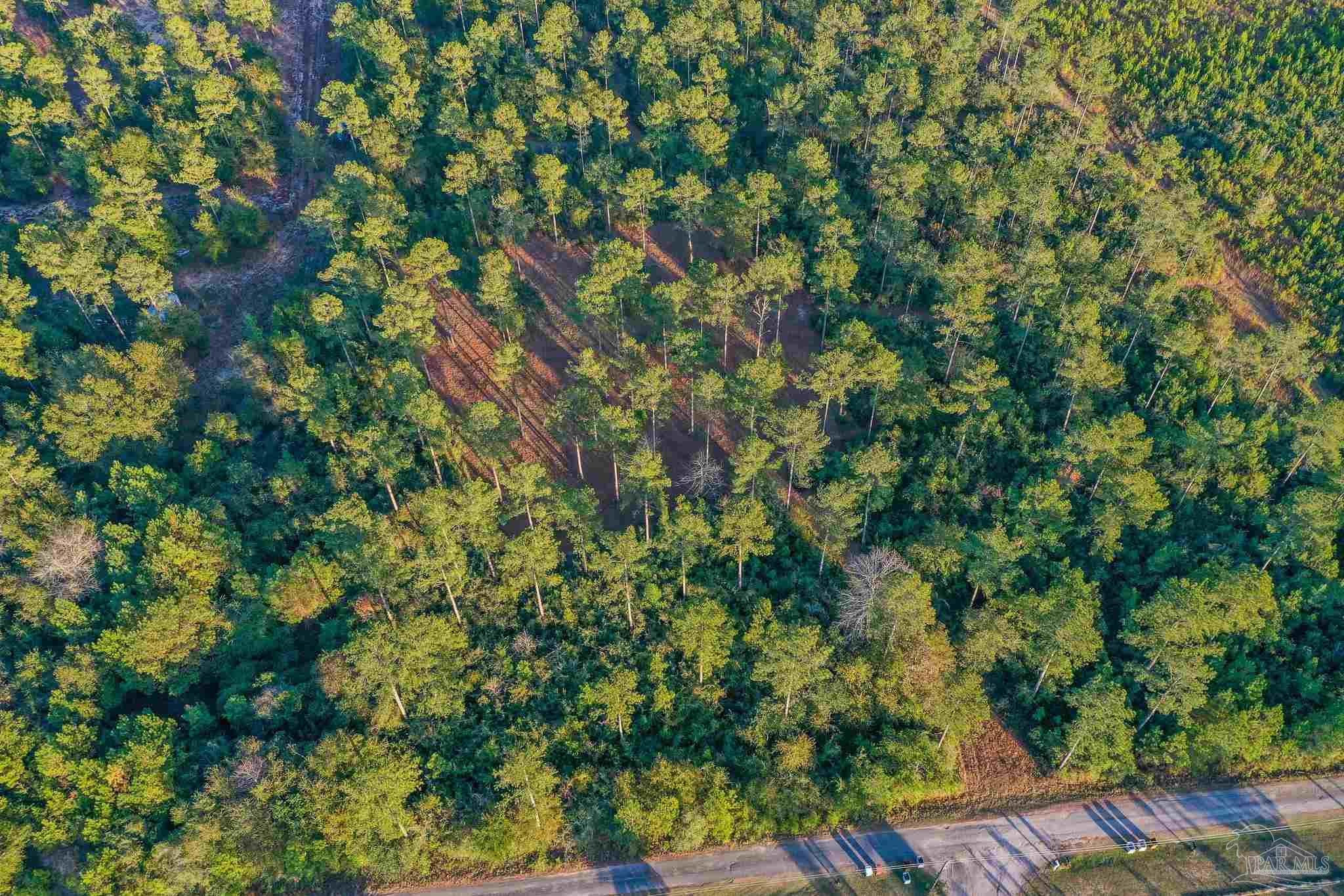 Mayburn Bridge Road Milton, FL 32570 - Photo 16 of 38