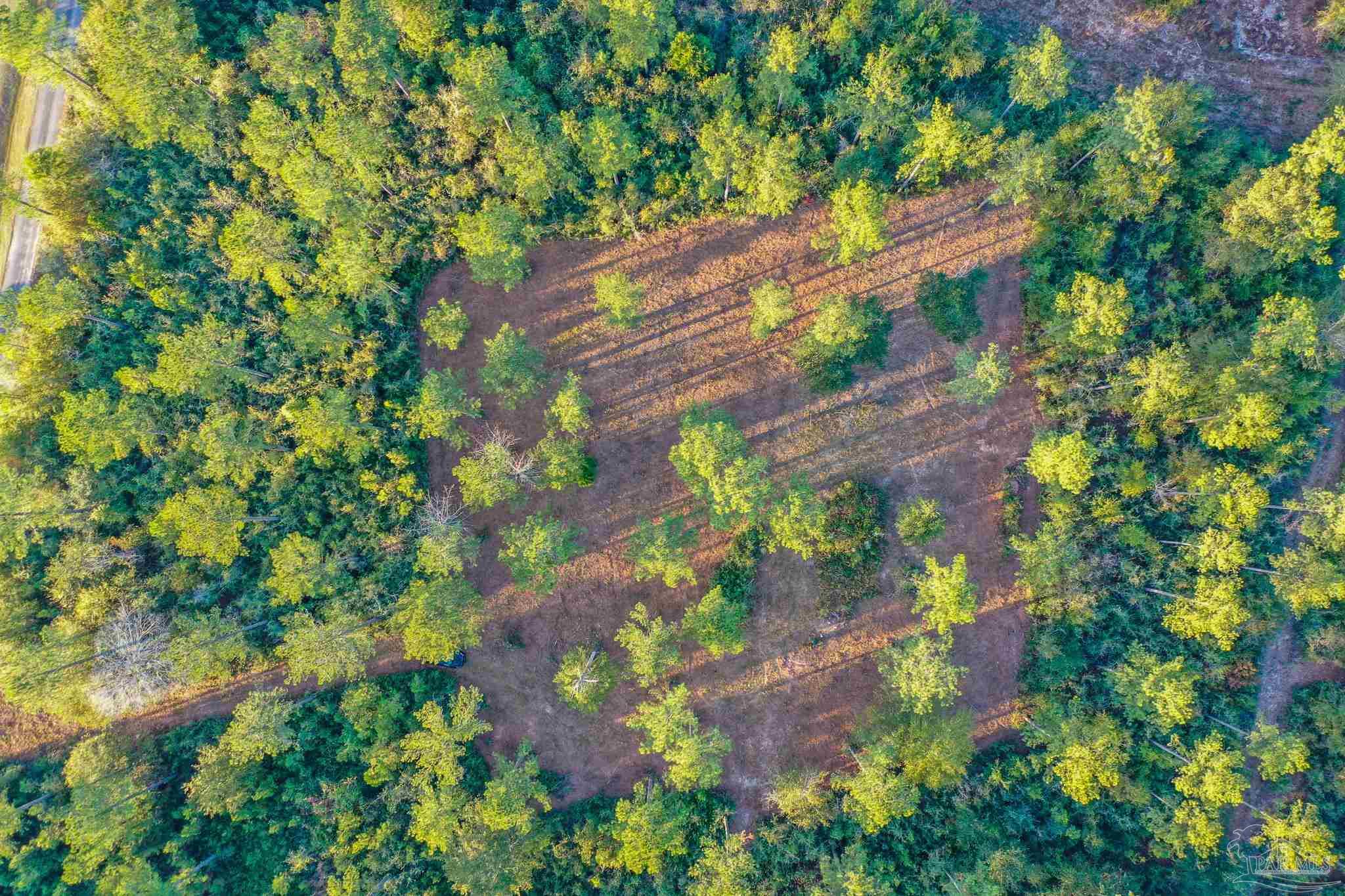 Mayburn Bridge Road Milton, FL 32570 - Photo 30 of 38