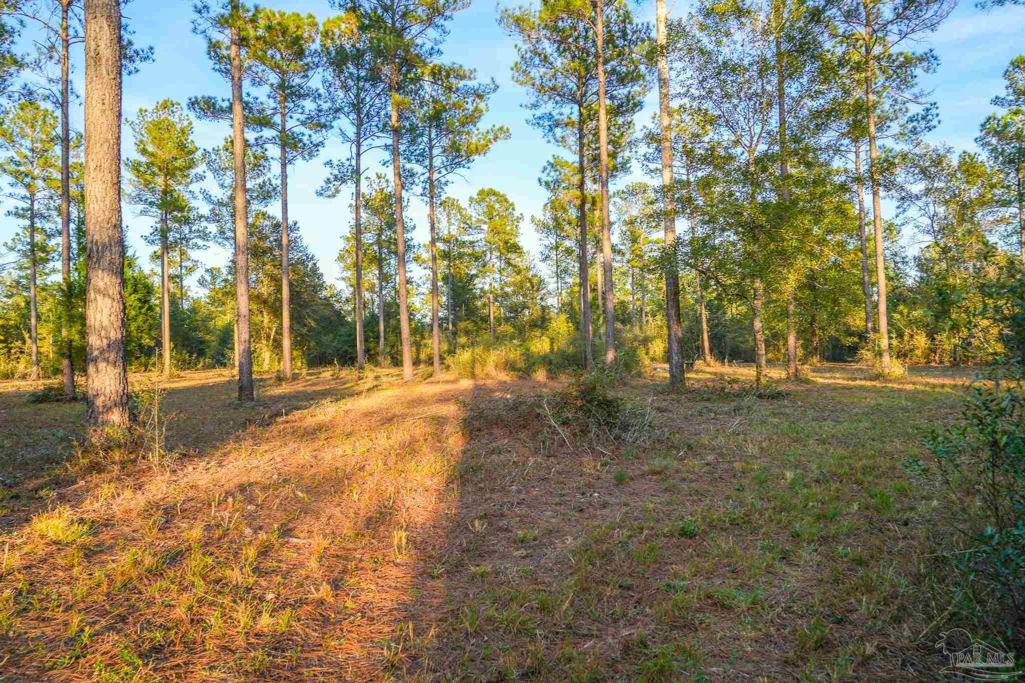 Mayburn Bridge Road Milton, FL 32570 - Photo 8 of 38
