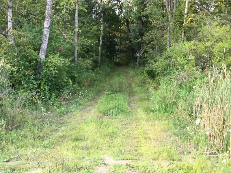 V/l Parcel A W Fenwick Road Fenwick, MI 48834 - Photo 1 of 5 20180829183445190206000000-o