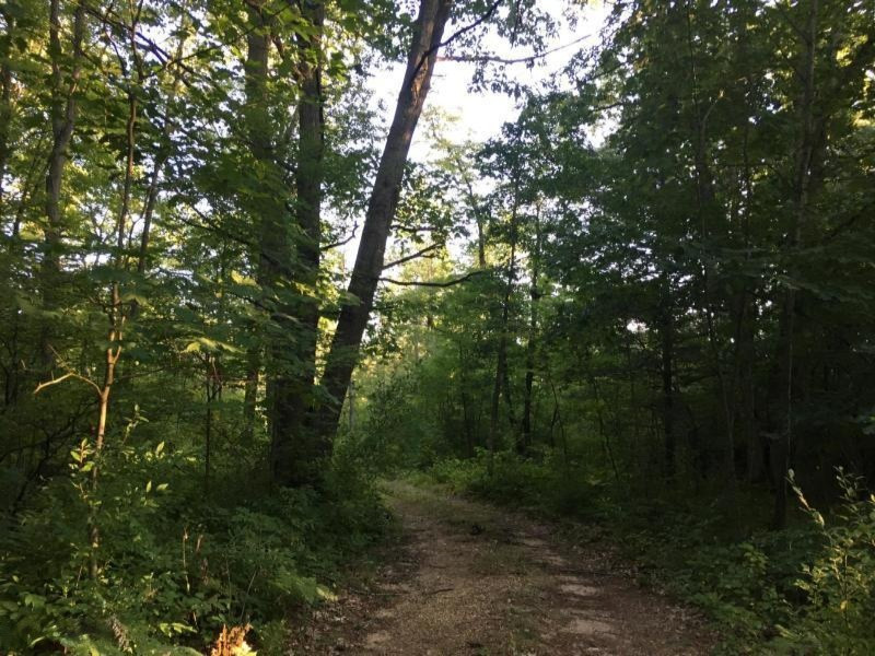 V/l Parcel A W Fenwick Road Fenwick, MI 48834 - Photo 2 of 5 20180829183455658671000000-o
