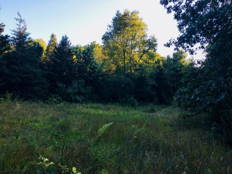 V/l Parcel A W Fenwick Road Fenwick, MI 48834 - Photo 3 of 5 20180829183509410474000000-o