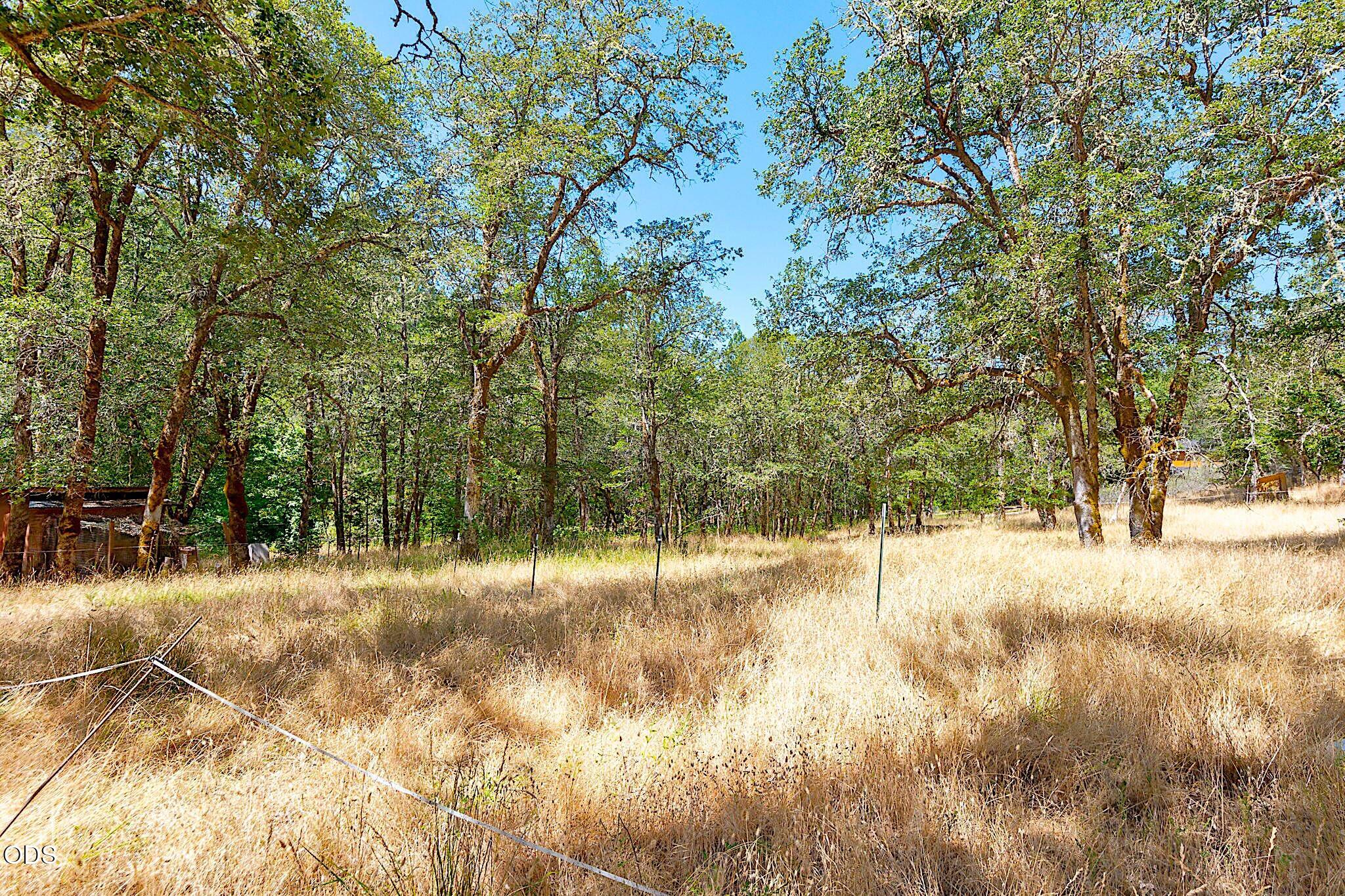 705 Murphy Gulch Road Rogue River, OR 97537 - Photo 44 of 77