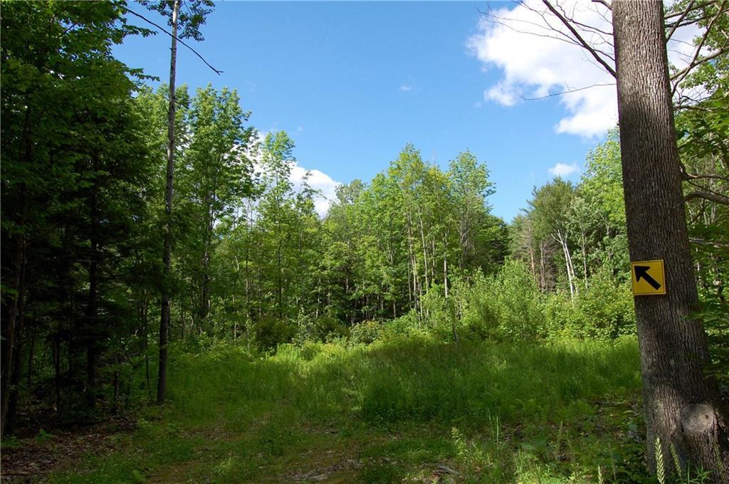 0 Ridley Lane Litchfield, ME 04350 - Photo 3 of 11 Photo