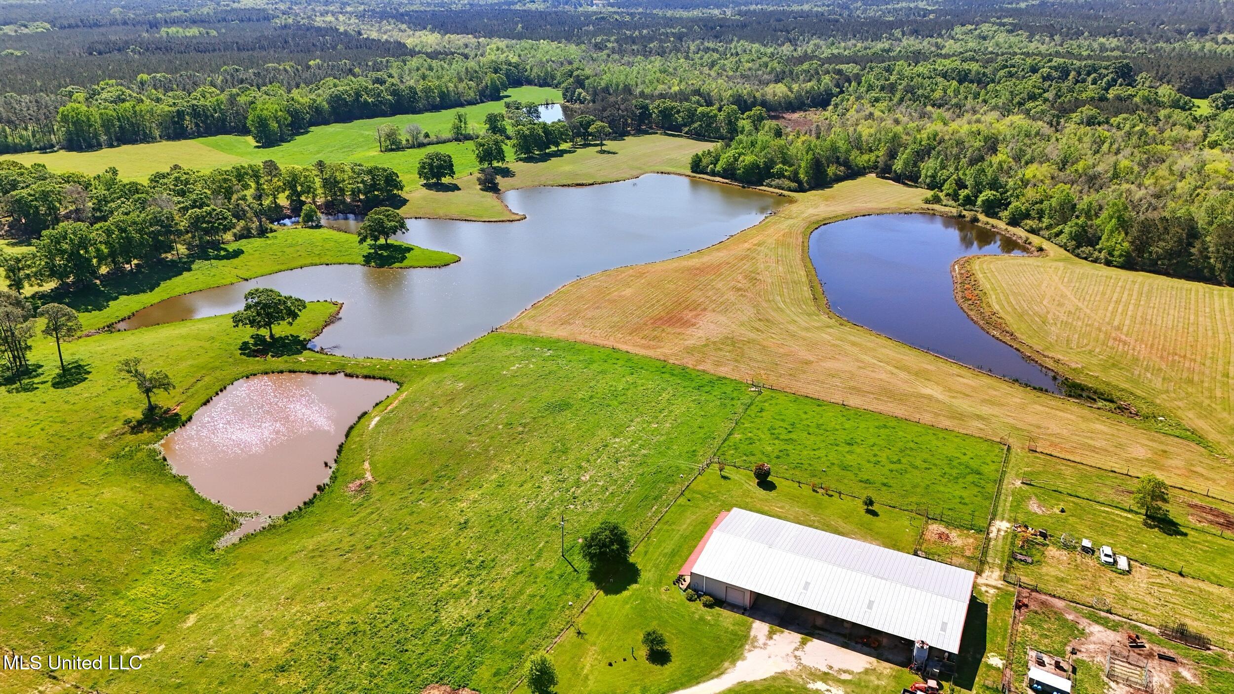 406 Thomas School Road Lumberton, MS 39455 - Photo 12 of 38 aerial 7