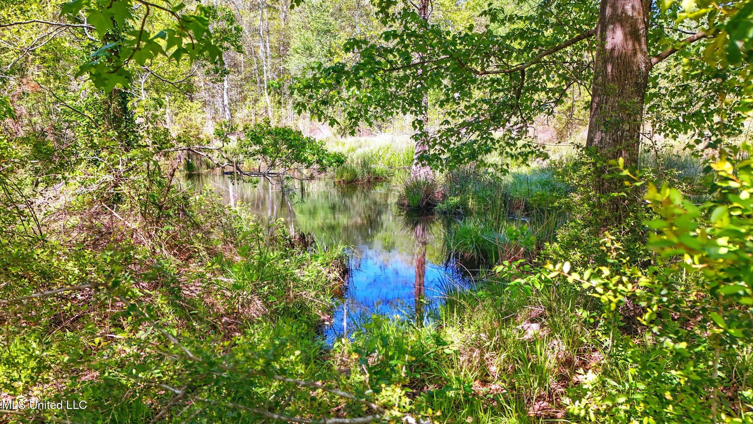 406 Thomas School Road Lumberton, MS 39455 - Photo 29 of 38 duck pond 1