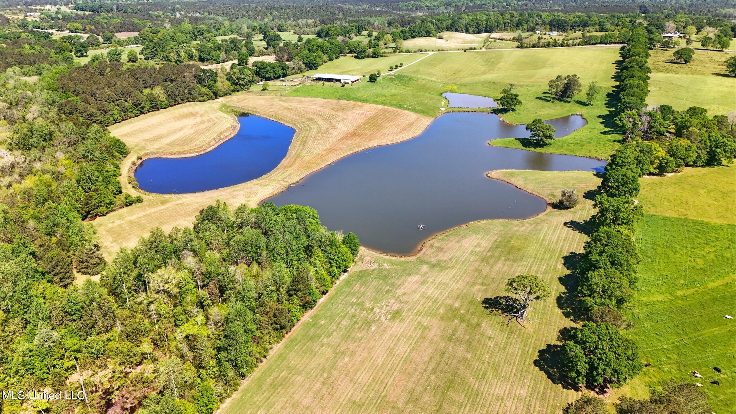 406 Thomas School Road Lumberton, MS 39455 - Photo 10 of 38 aerial 5