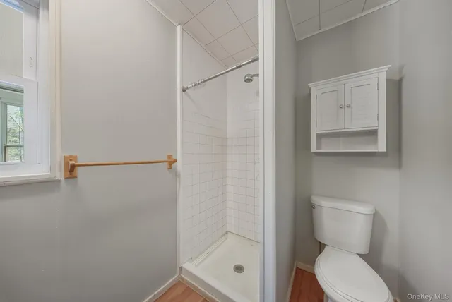 a bathroom with a toilet and a shower