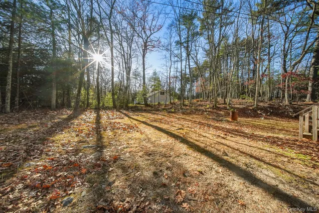 a view of a yard with trees