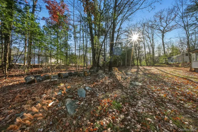 a view of backyard with green space