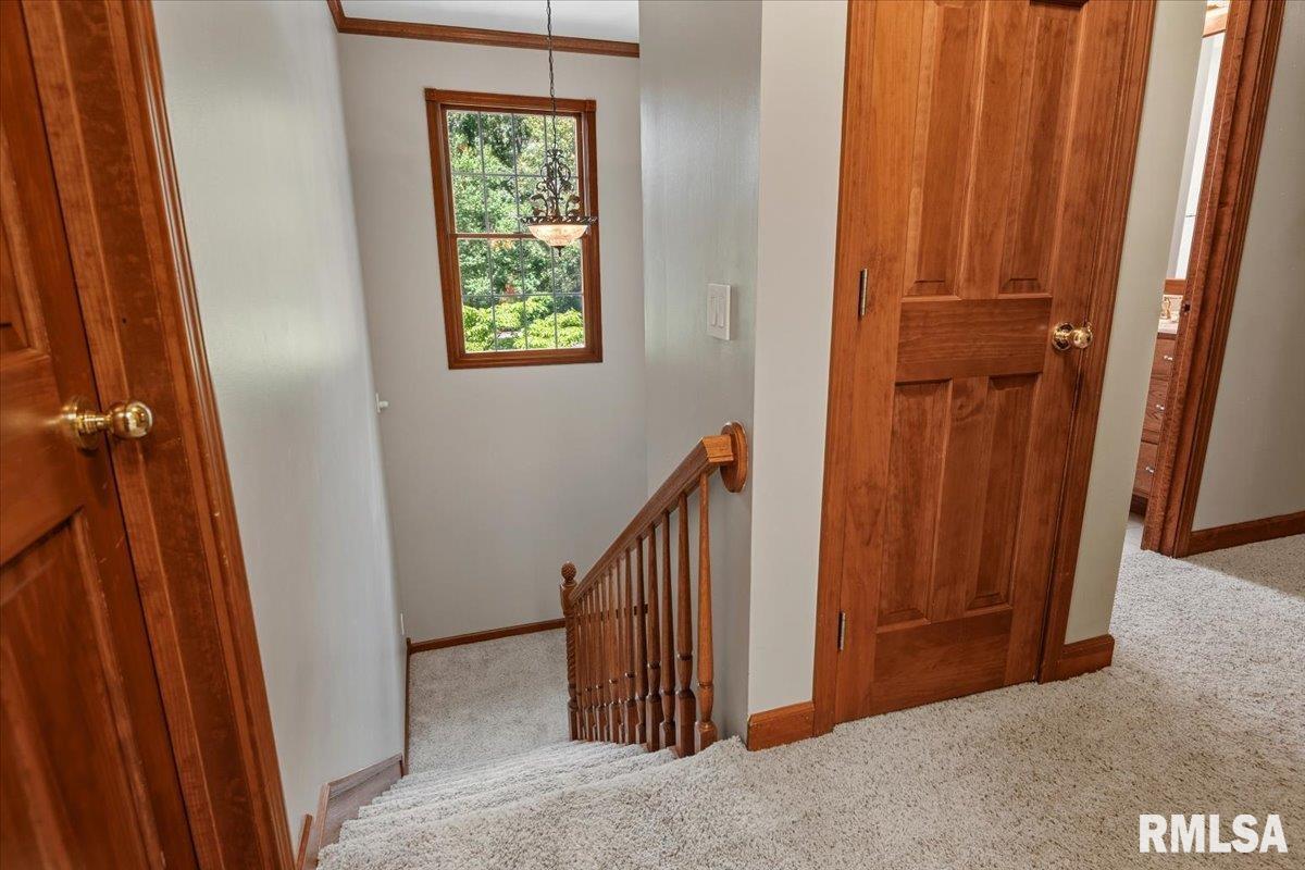 49 Woodland Trail Rochester, IL 62563 - Photo 39 of 98