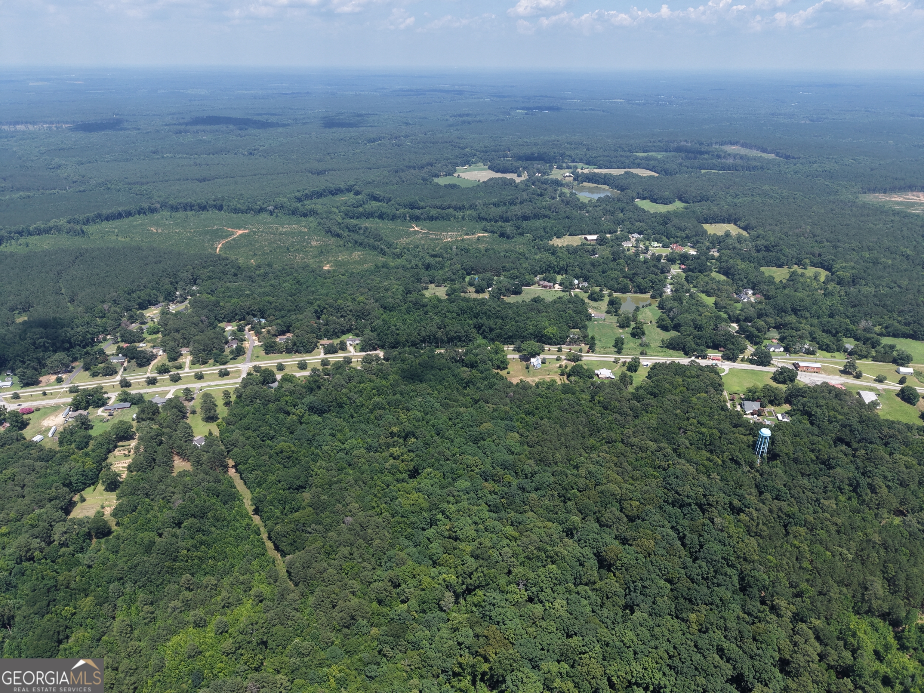 1150 Dogwood Road Union Point, GA 30669 - Photo 36 of 37