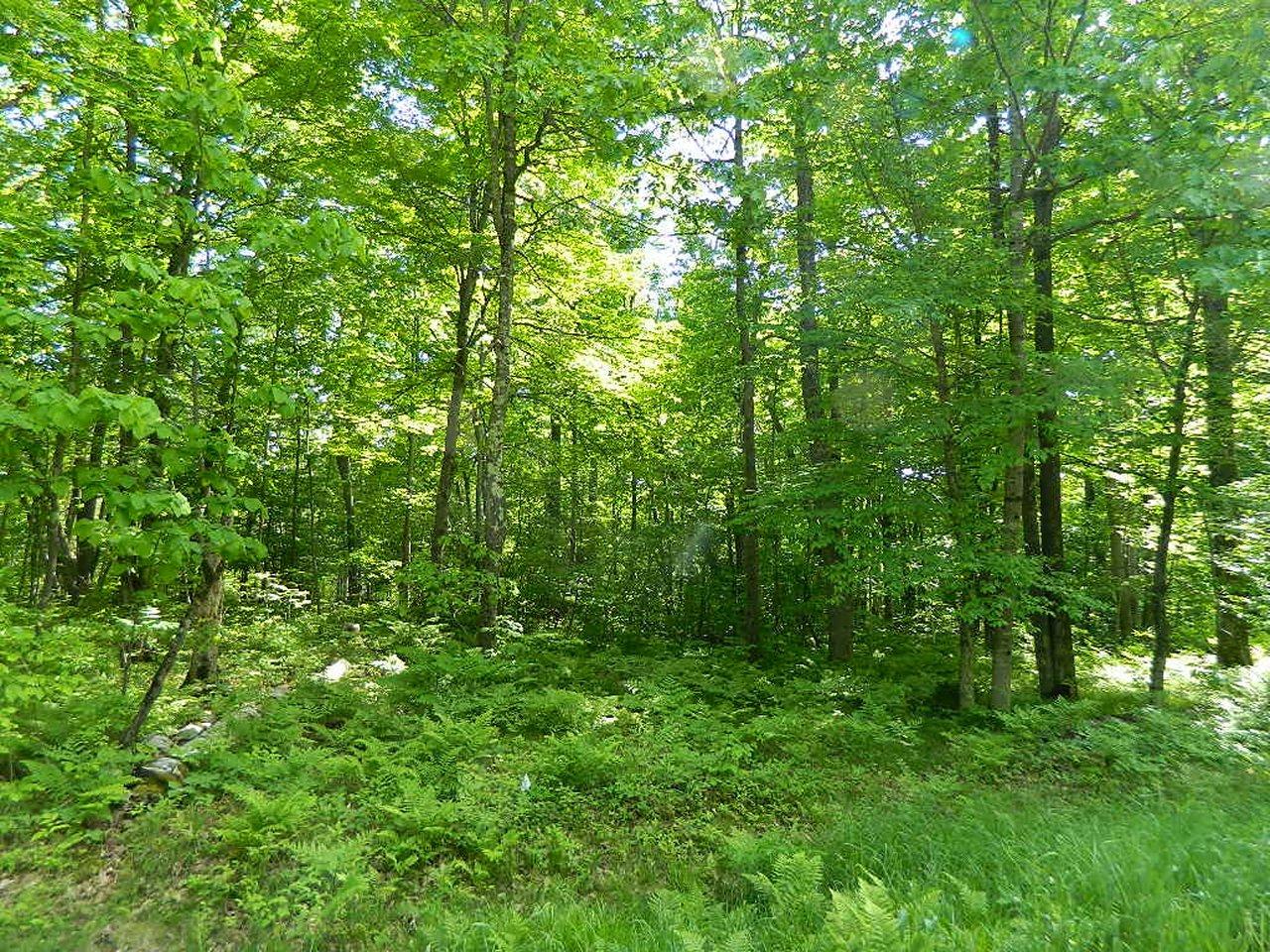 7059 Malm Road Winter, WI 54896 - Photo 9 of 12 Gallery Image 9