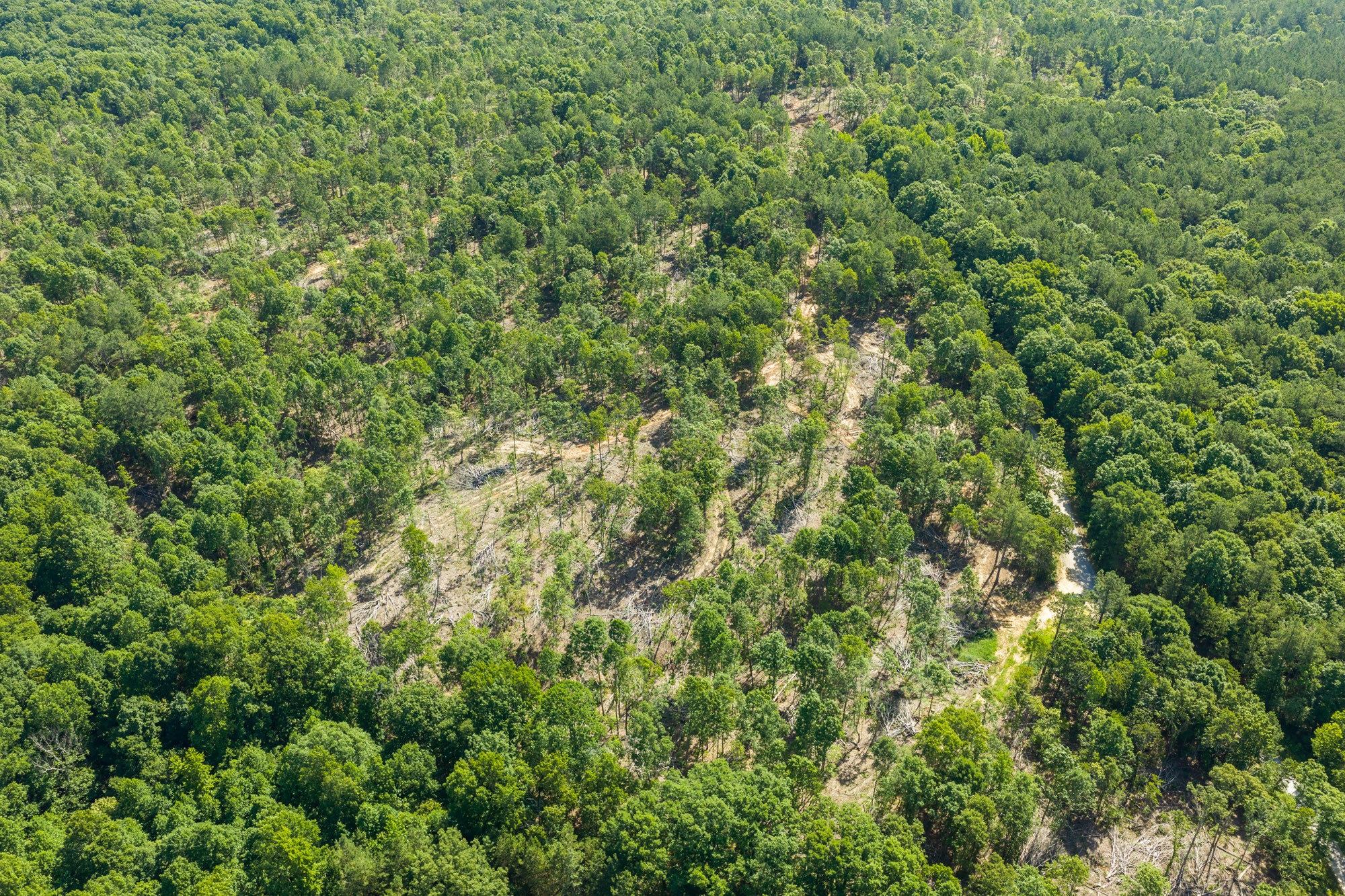 0 Green Hatley Branch Road Holladay, TN 38341 - Photo 15 of 18 Gallery Image 15