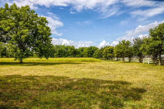 a view of a park with large trees