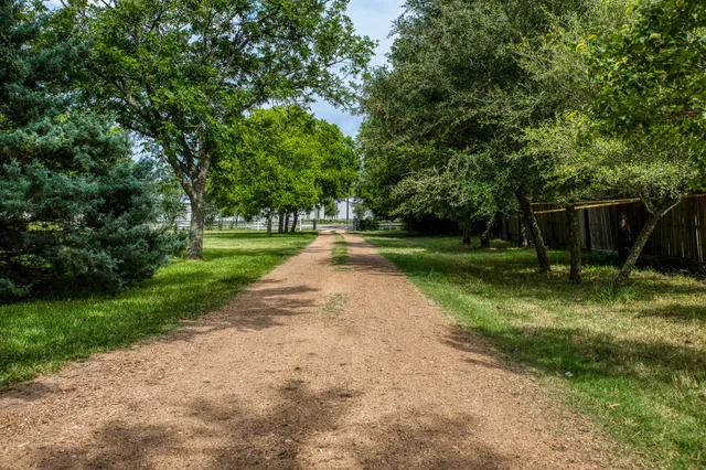 a view of a park with large trees