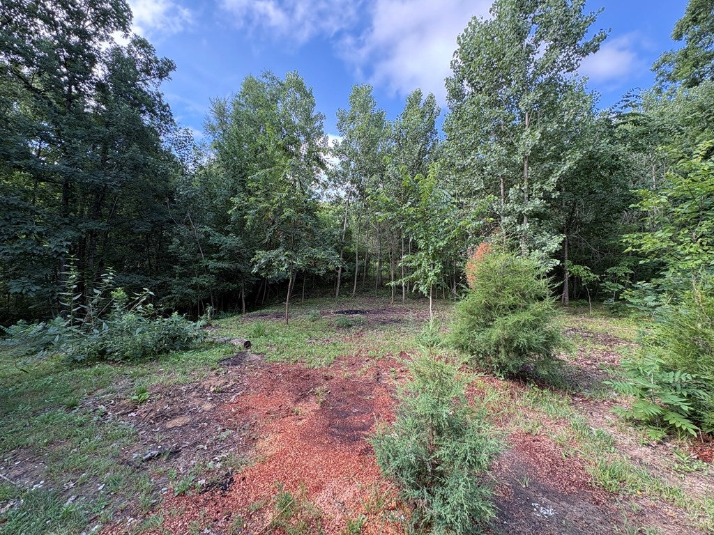 15090 Stahl Road Green Castle, MO 63544 - Photo 12 of 13 Gallery Image 12