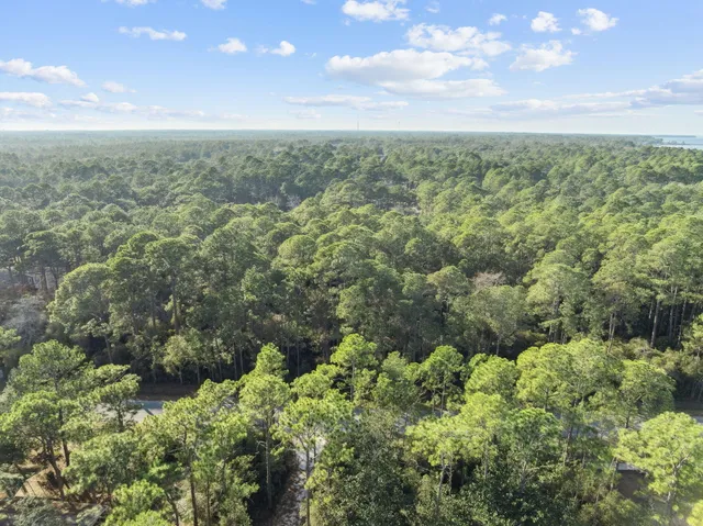 a view of a city with lush green forest