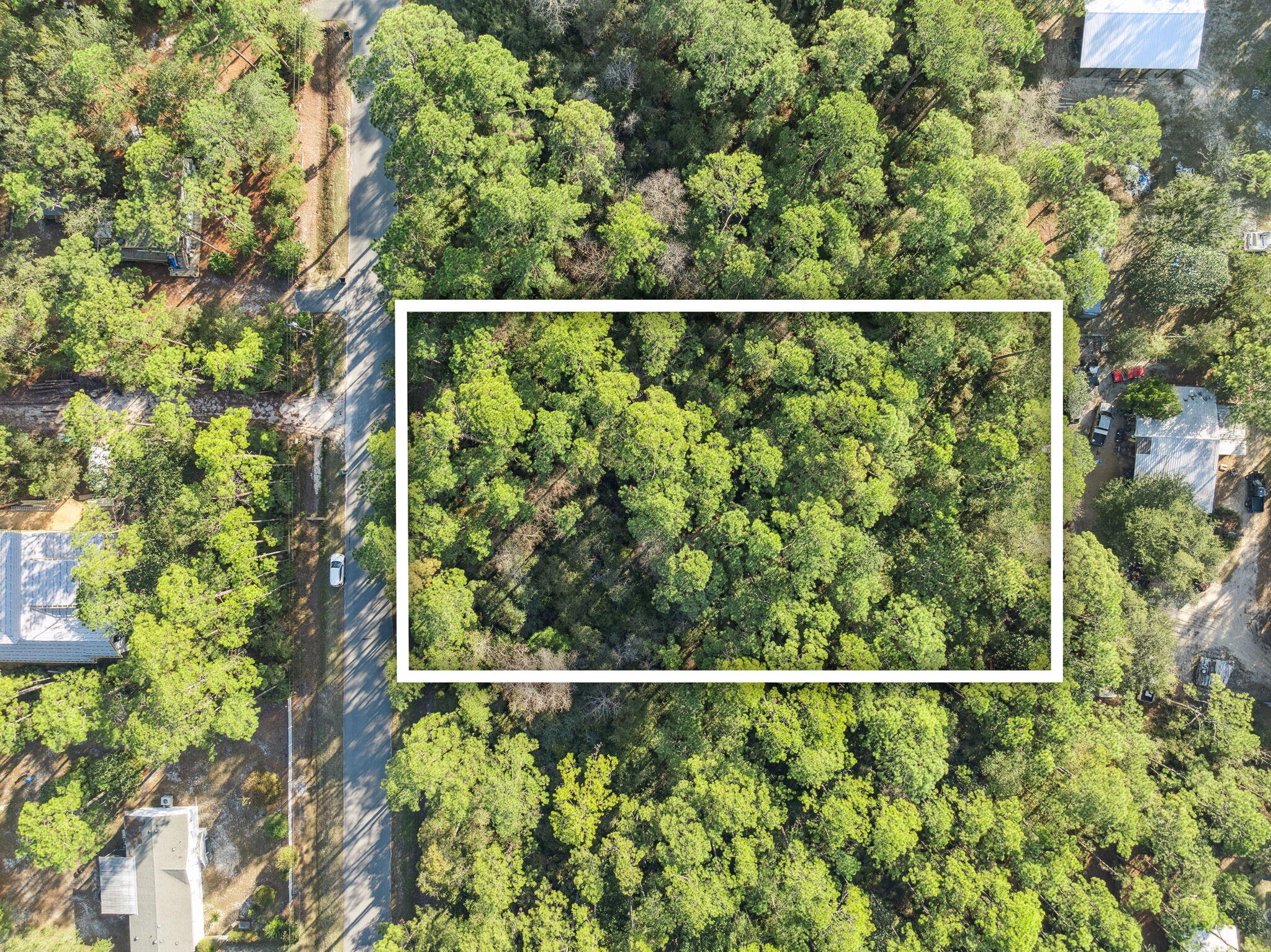 Lot D16 Oak Ave Point Santa Rosa Beach, FL 32459 - Photo 5 of 8 a view of a yard