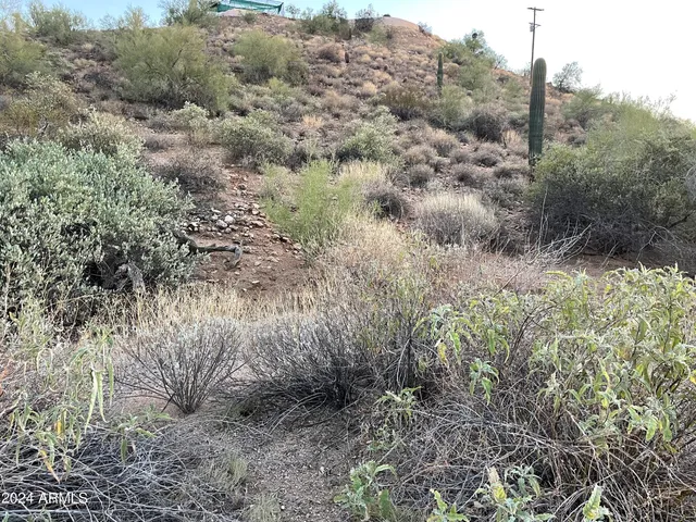 $205,000 | 85-xx East 85-xx E Culver Street, Mesa, AZ 85207