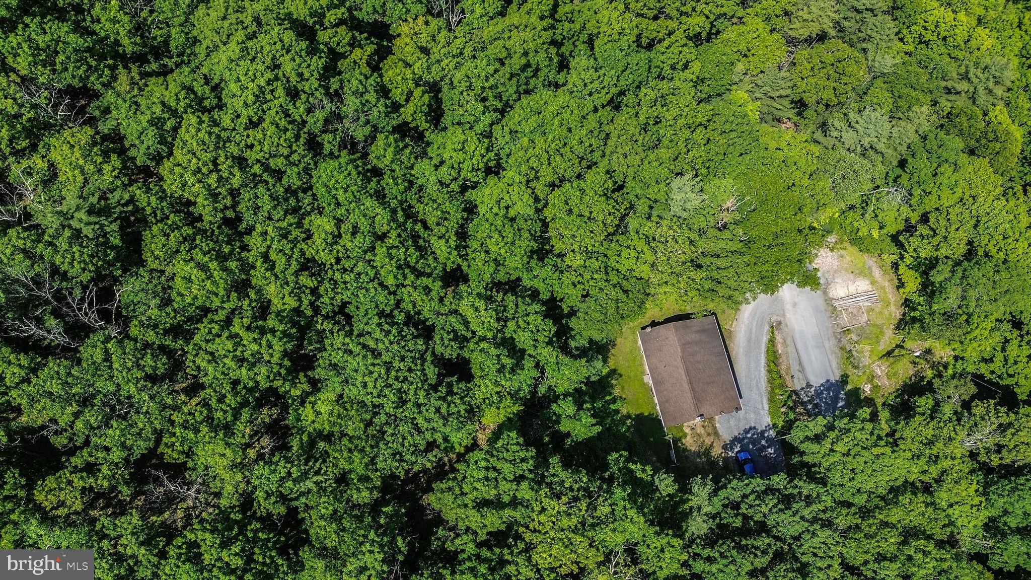 353 Jack Straw Road Julian, PA 16844 - Photo 37 of 40