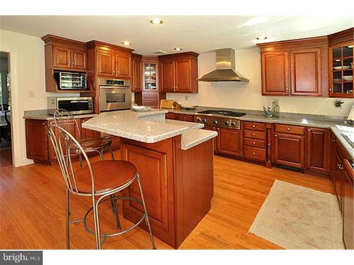 1045 Pebble Hill Road Furlong, PA 18925 - Photo 8 of 20 Kitchen