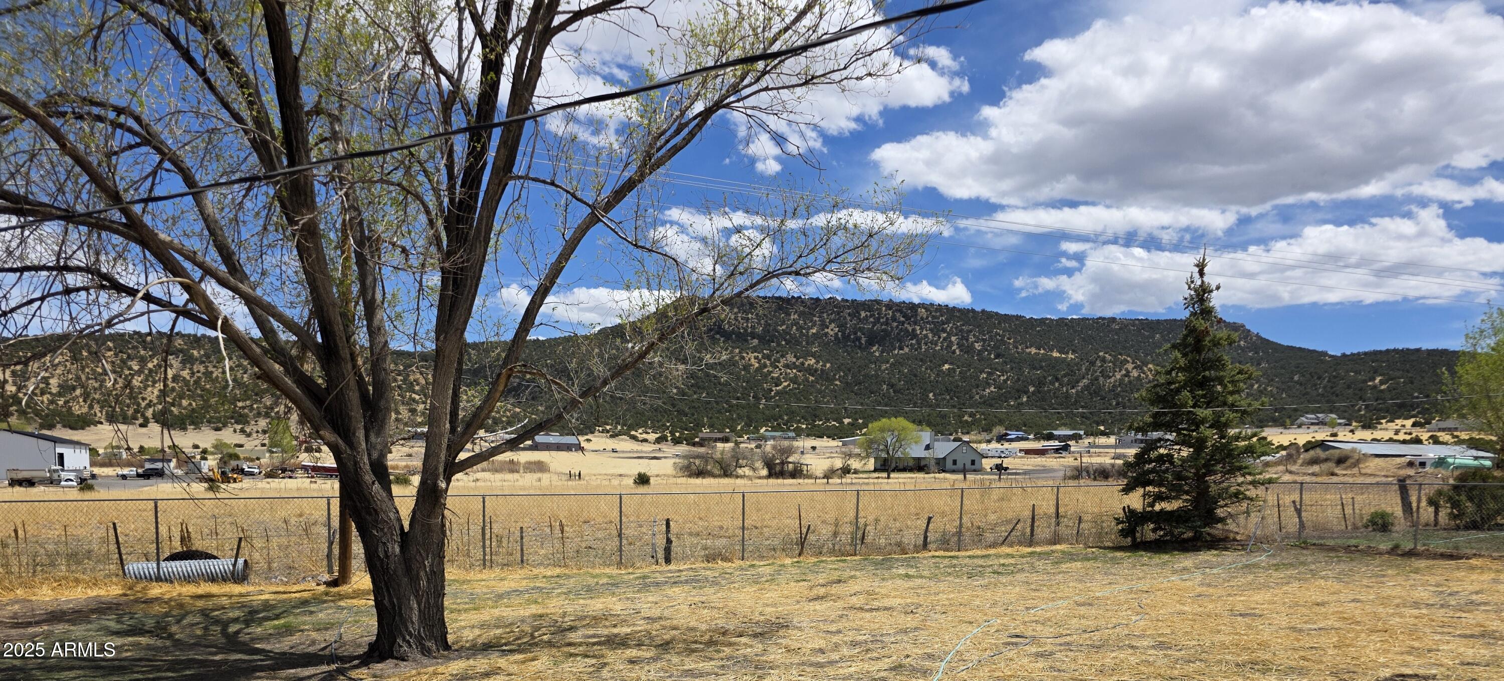 731 Elm Lane Eagar, AZ 85925 - Photo 22 of 26 a view of a yard with an tree