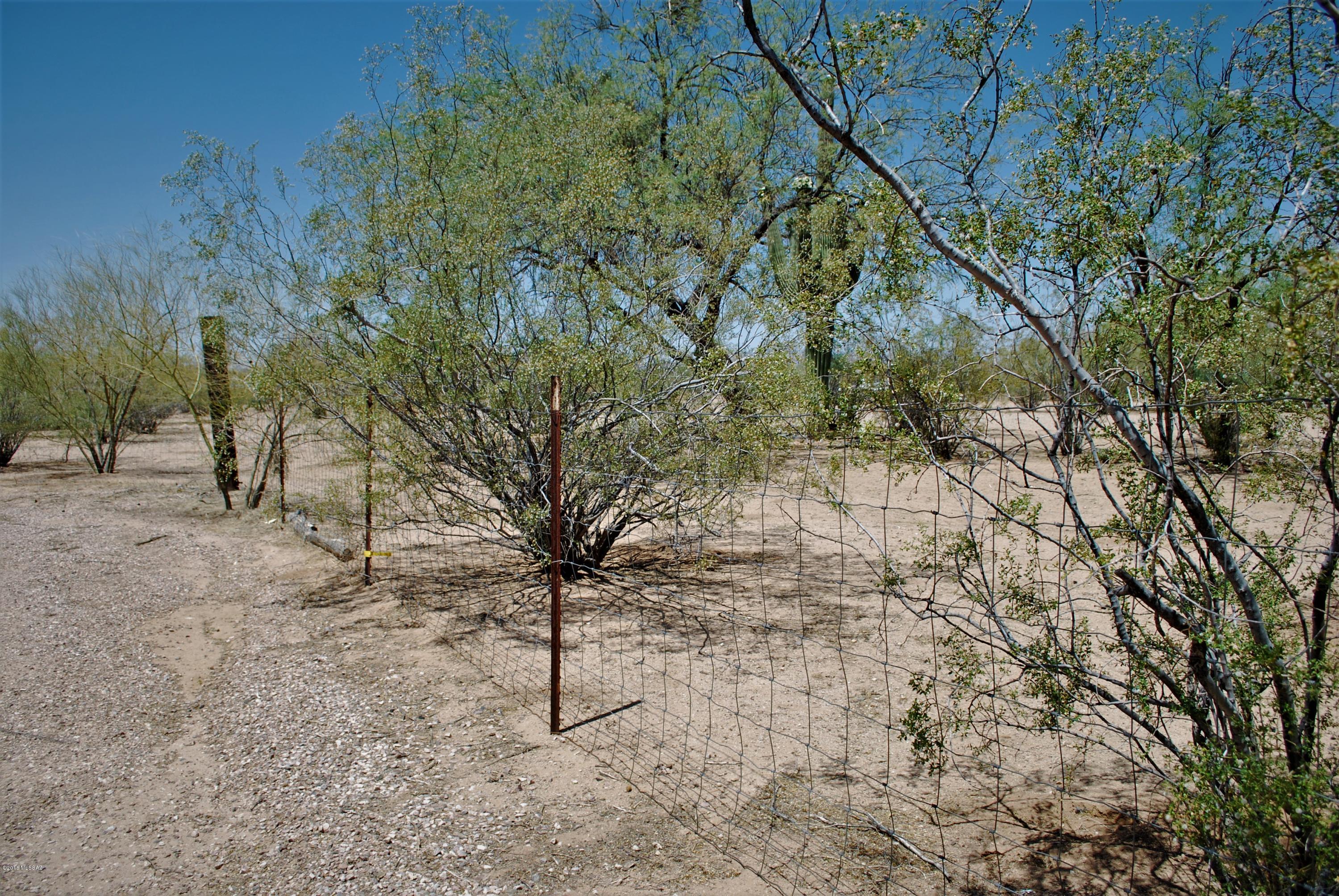13054 West El Lobo Road Tucson, AZ 85743 - Photo 16 of 20 Gallery Image 16