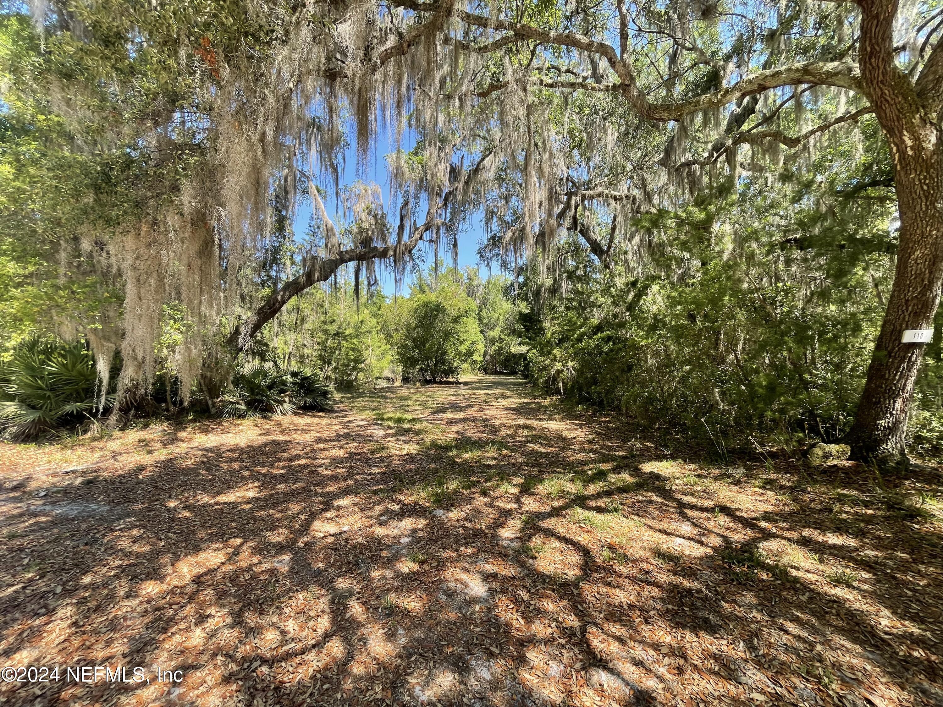 110 North Point Drive Georgetown, FL 32139 - Photo 24 of 28 a view of backyard with green space