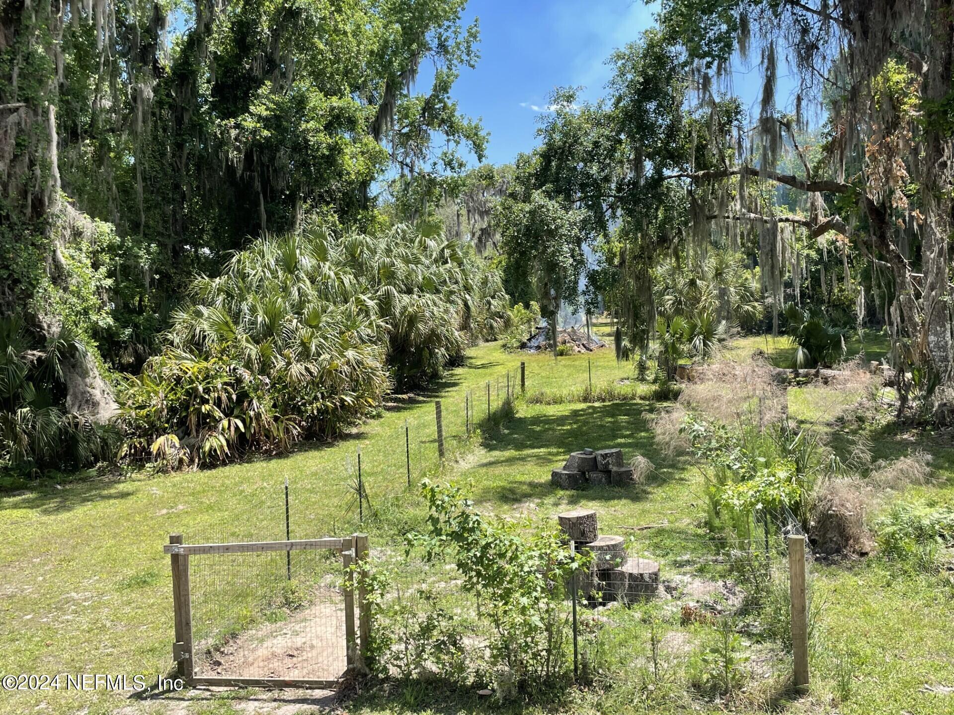 110 North Point Drive Georgetown, FL 32139 - Photo 25 of 28 a view of lake view with large tree