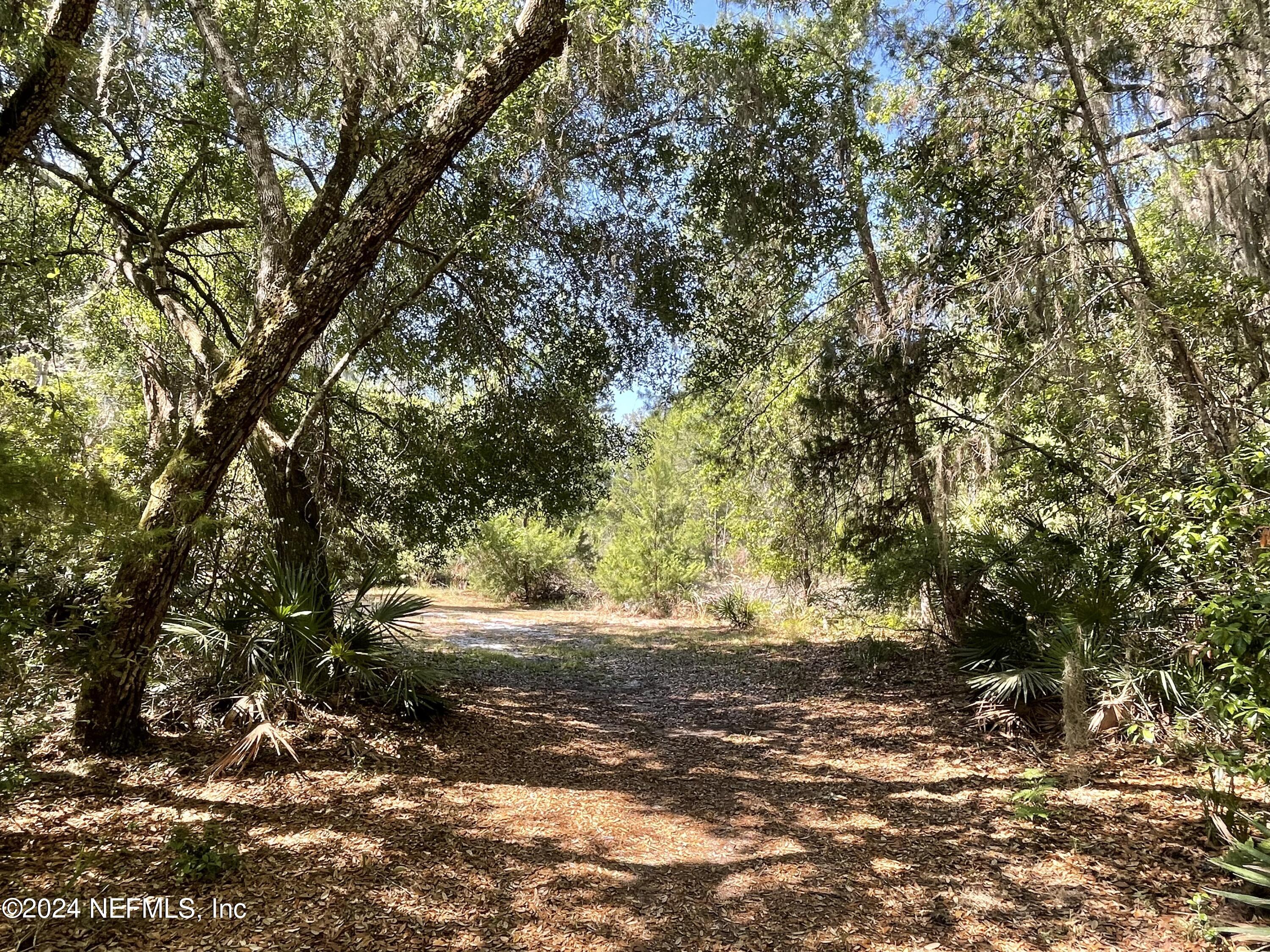 110 North Point Drive Georgetown, FL 32139 - Photo 27 of 28 a view of outdoor space and yard