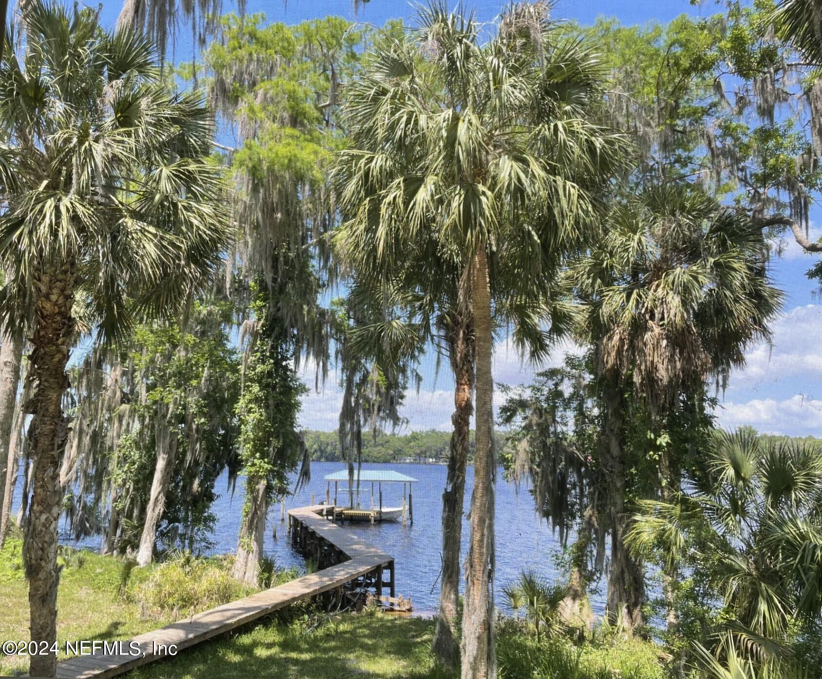 110 North Point Drive Georgetown, FL 32139 - Photo 3 of 28 a view of yard with green space