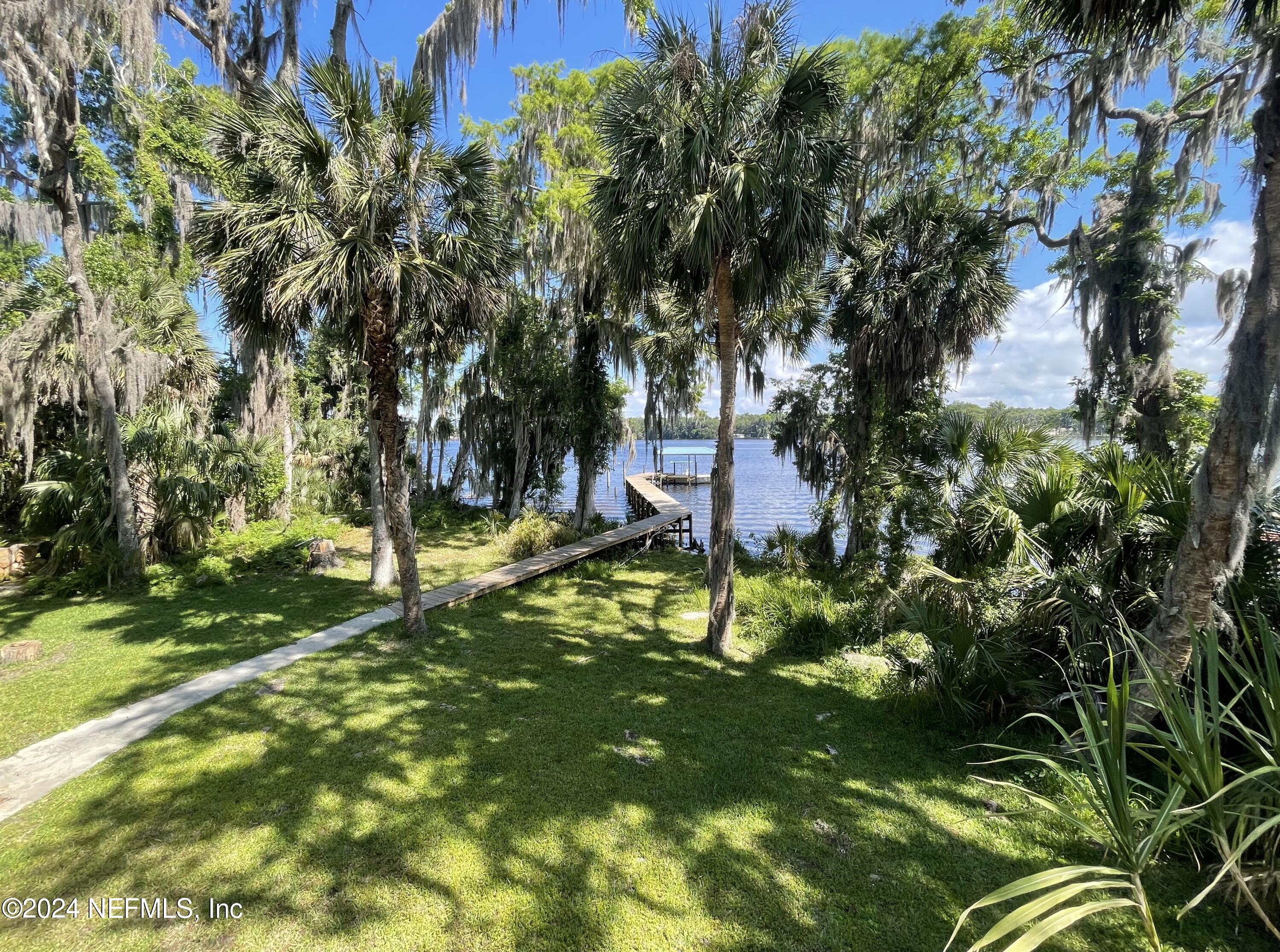 110 North Point Drive Georgetown, FL 32139 - Photo 4 of 28 a view of a tree in front of a house