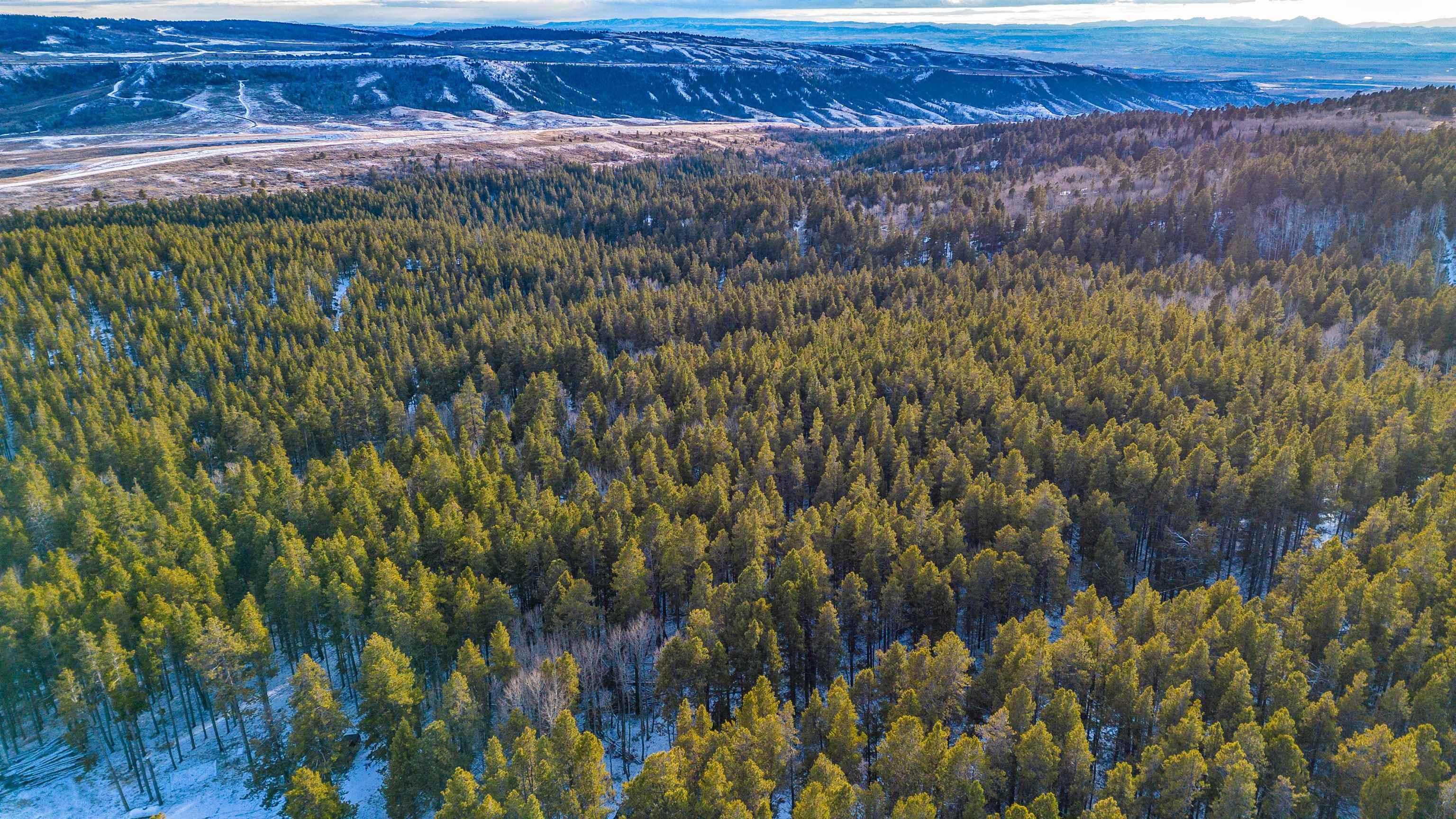 299 West Cliff Road Casper, WY 82601 - Photo 2 of 15