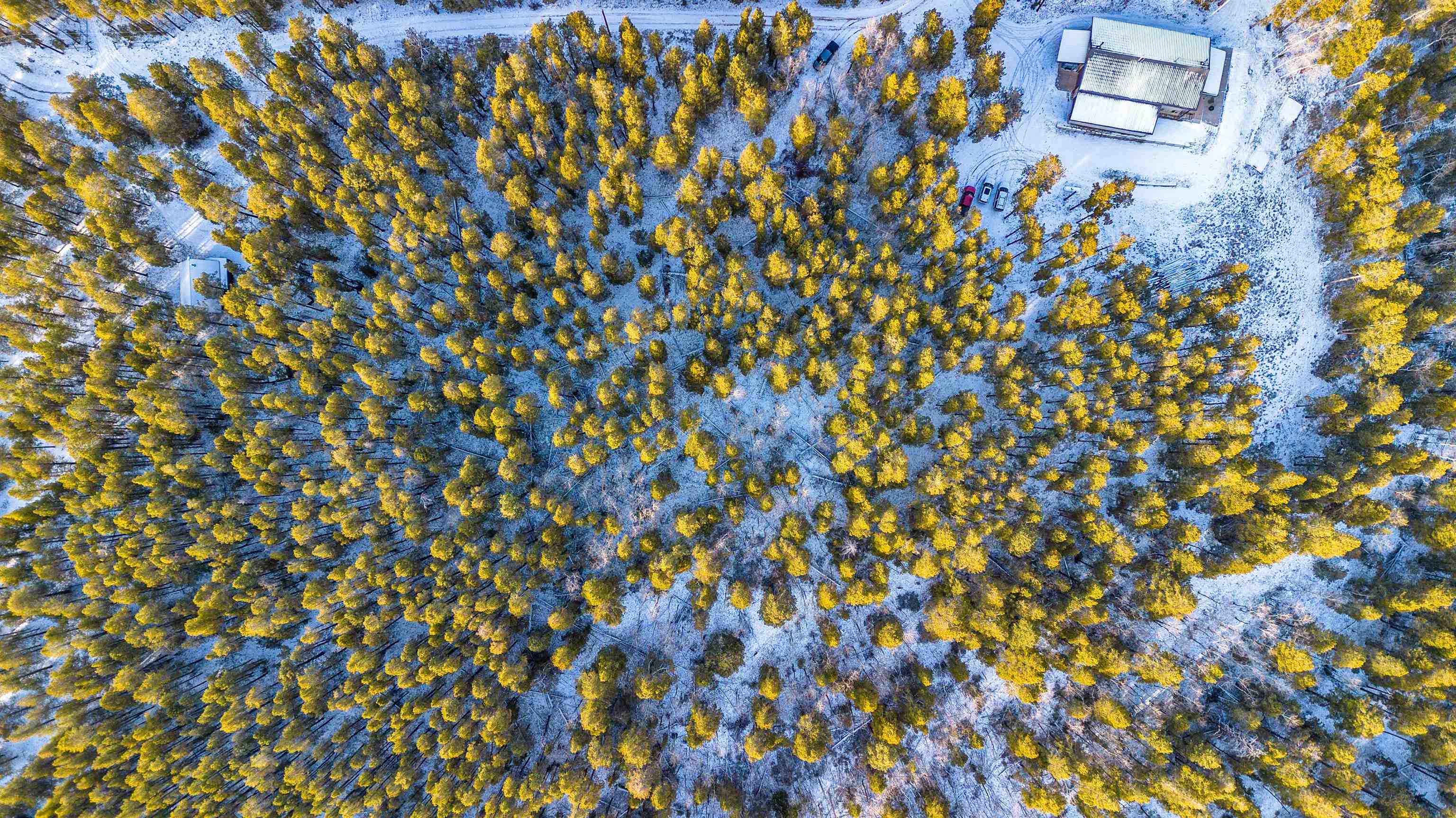 299 West Cliff Road Casper, WY 82601 - Photo 4 of 15