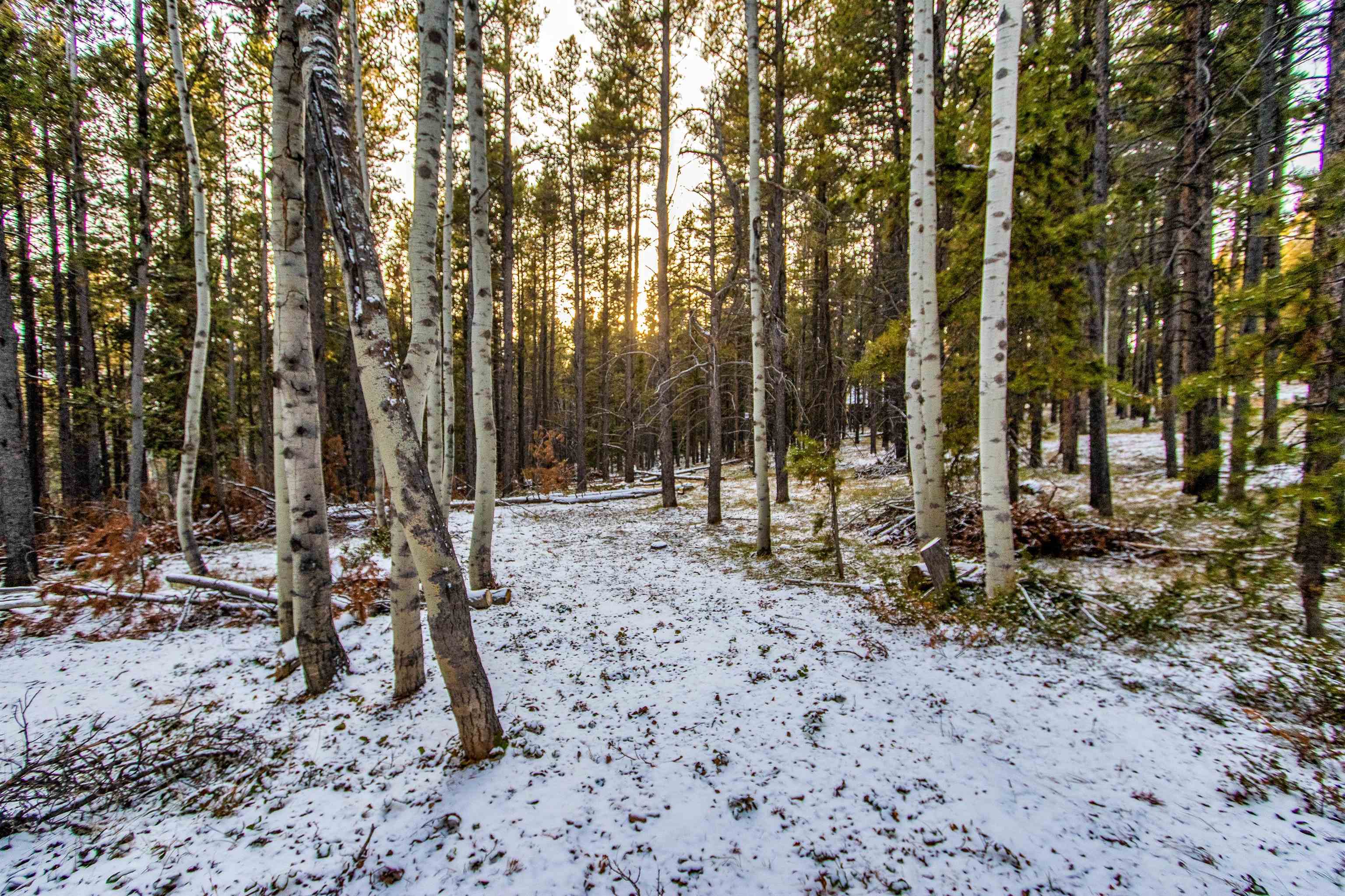 299 West Cliff Road Casper, WY 82601 - Photo 5 of 15