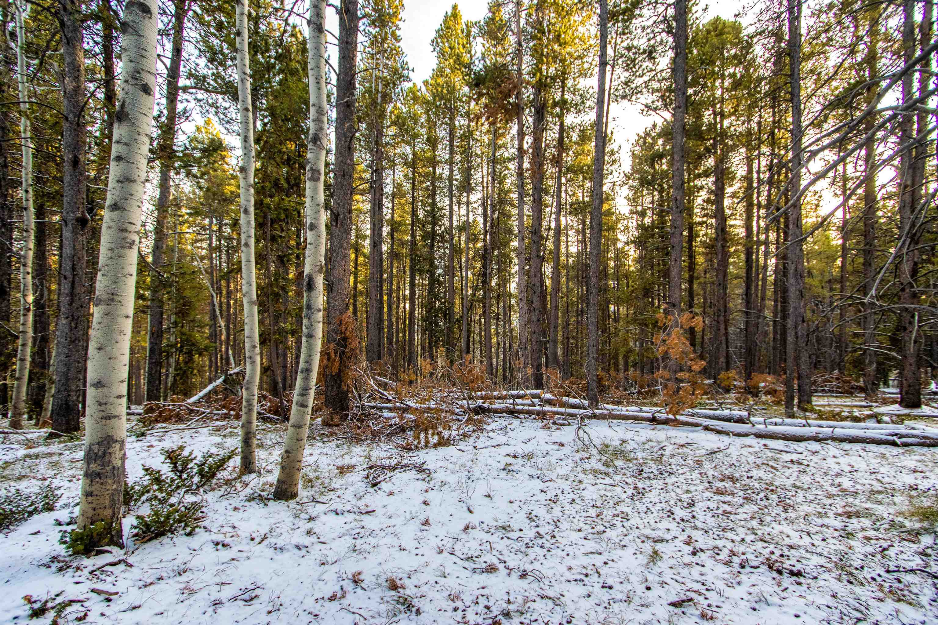 299 West Cliff Road Casper, WY 82601 - Photo 7 of 15