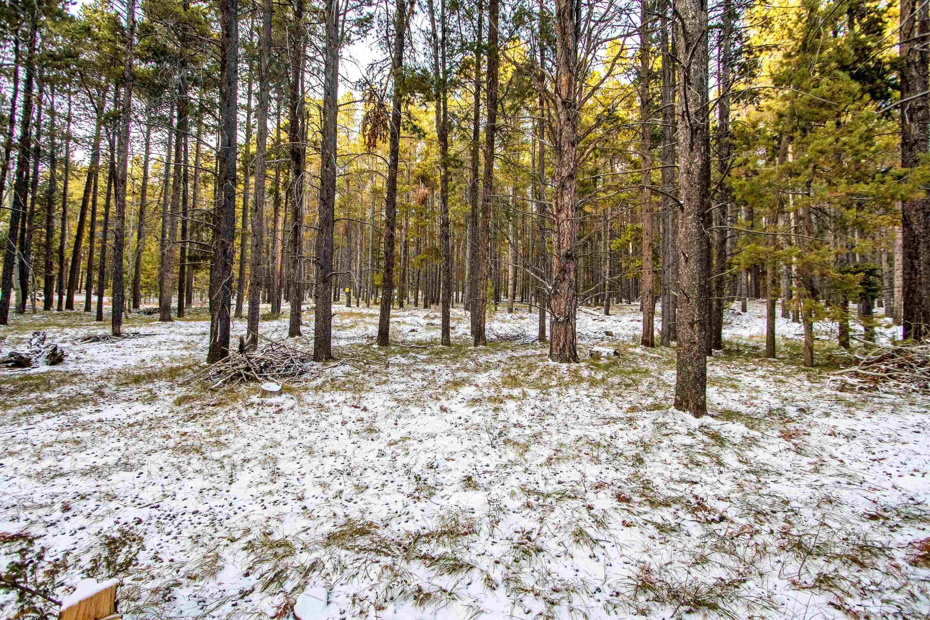 299 West Cliff Road Casper, WY 82601 - Photo 8 of 15