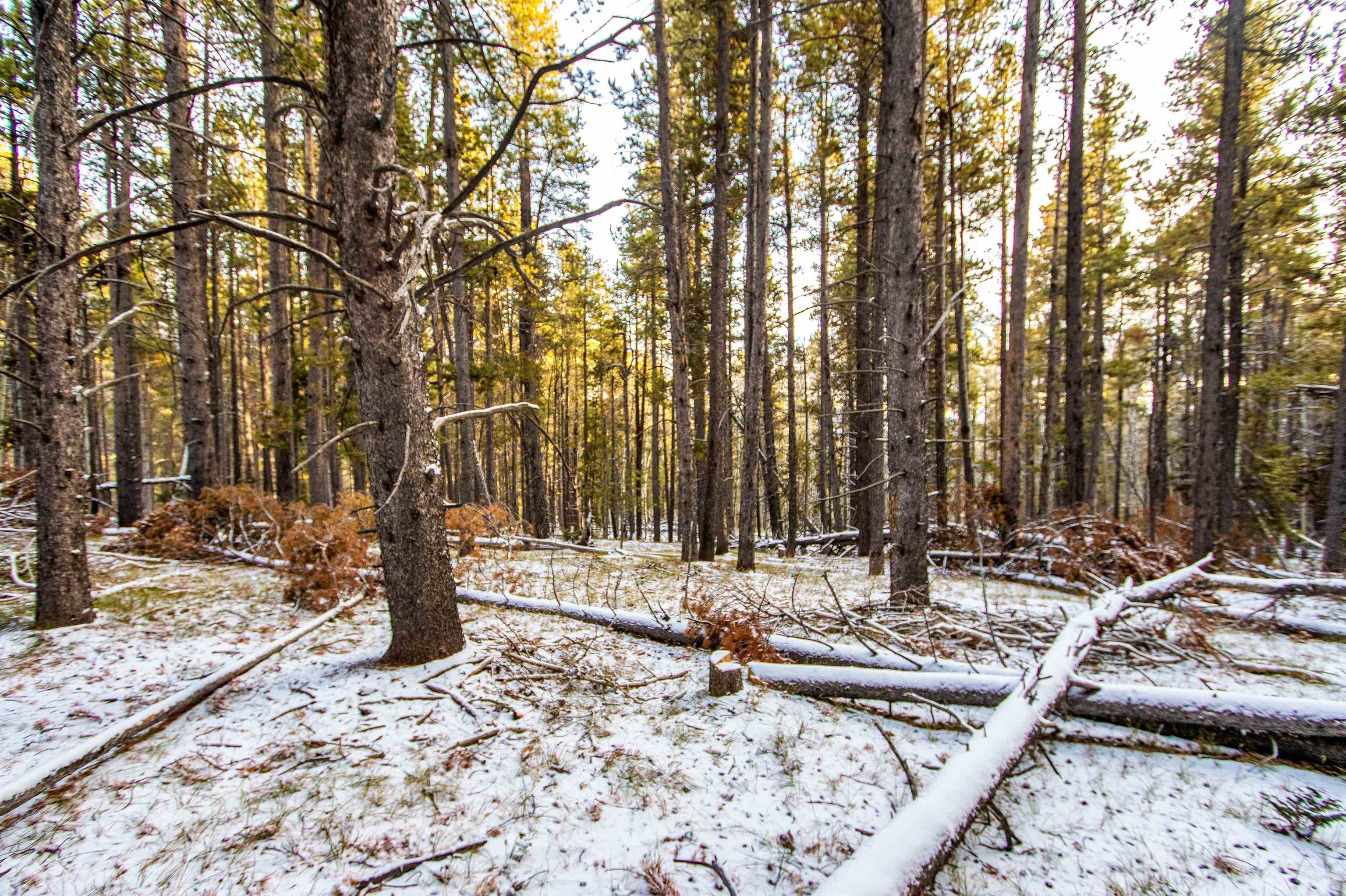 299 West Cliff Road Casper, WY 82601 - Photo 9 of 15