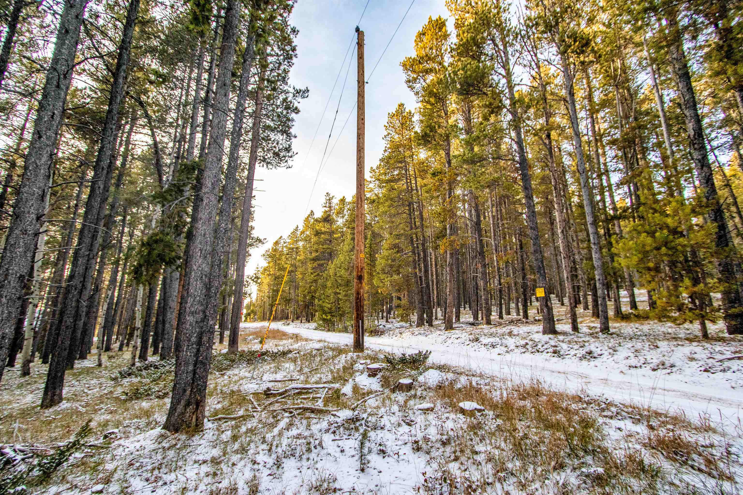 299 West Cliff Road Casper, WY 82601 - Photo 10 of 15