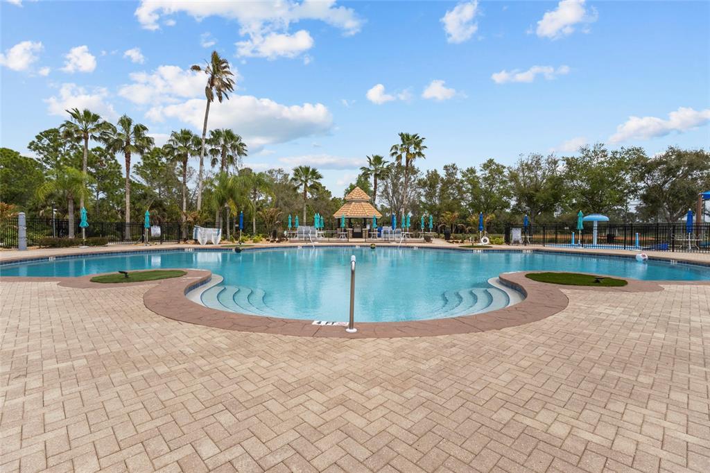 11754 Tempest Harbor Loop Venice, FL 34292 - Photo 36 of 56 a view of a swimming pool with a yard