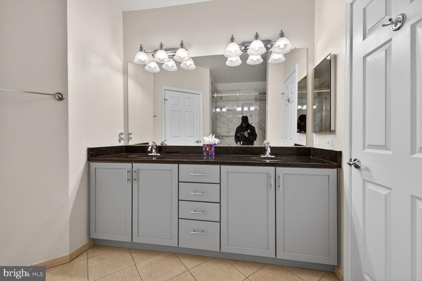 11800 Old Georgetown Road, Unit 1541 North Bethesda, MD 20852 - Photo 17 of 34 a bathroom with a sink and a mirror