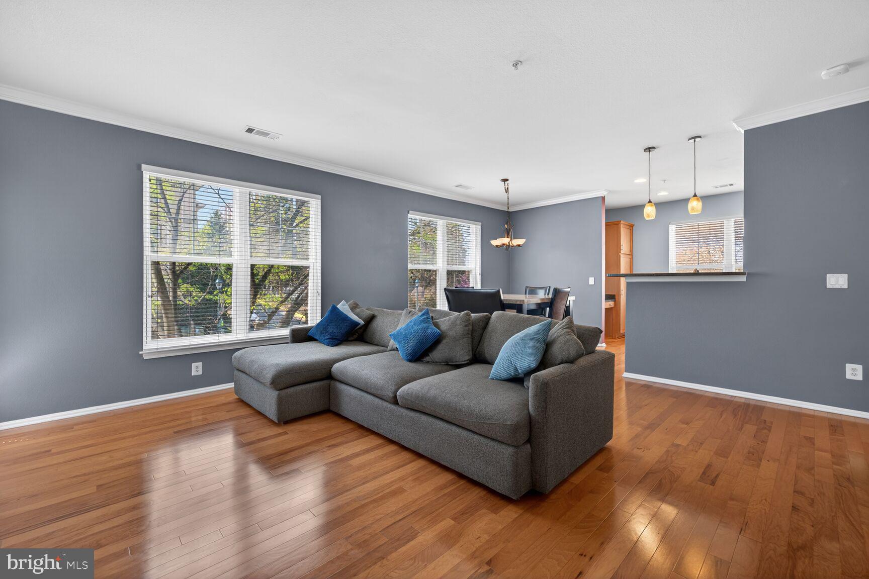 11800 Old Georgetown Road, Unit 1541 North Bethesda, MD 20852 - Photo 6 of 34 a living room with furniture and a large window