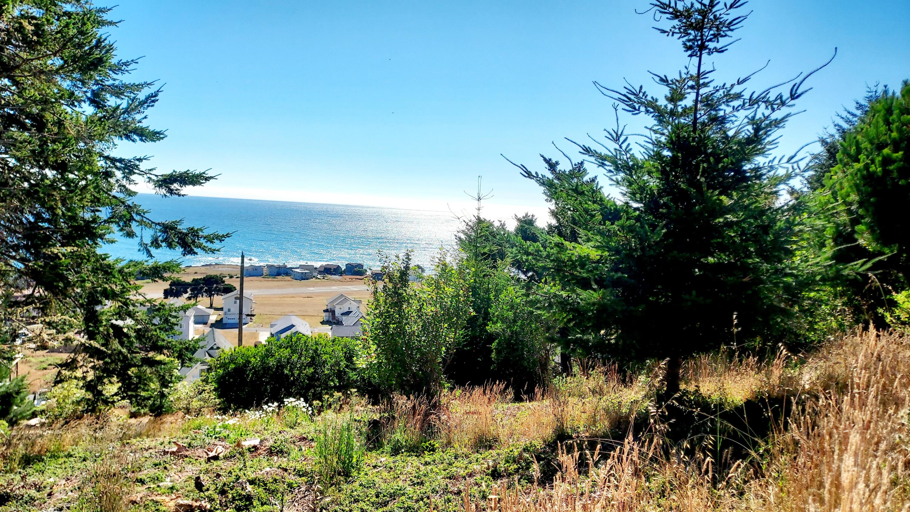 80 Shaker Road Shelter Cove, CA 95589 - Photo 2 of 9