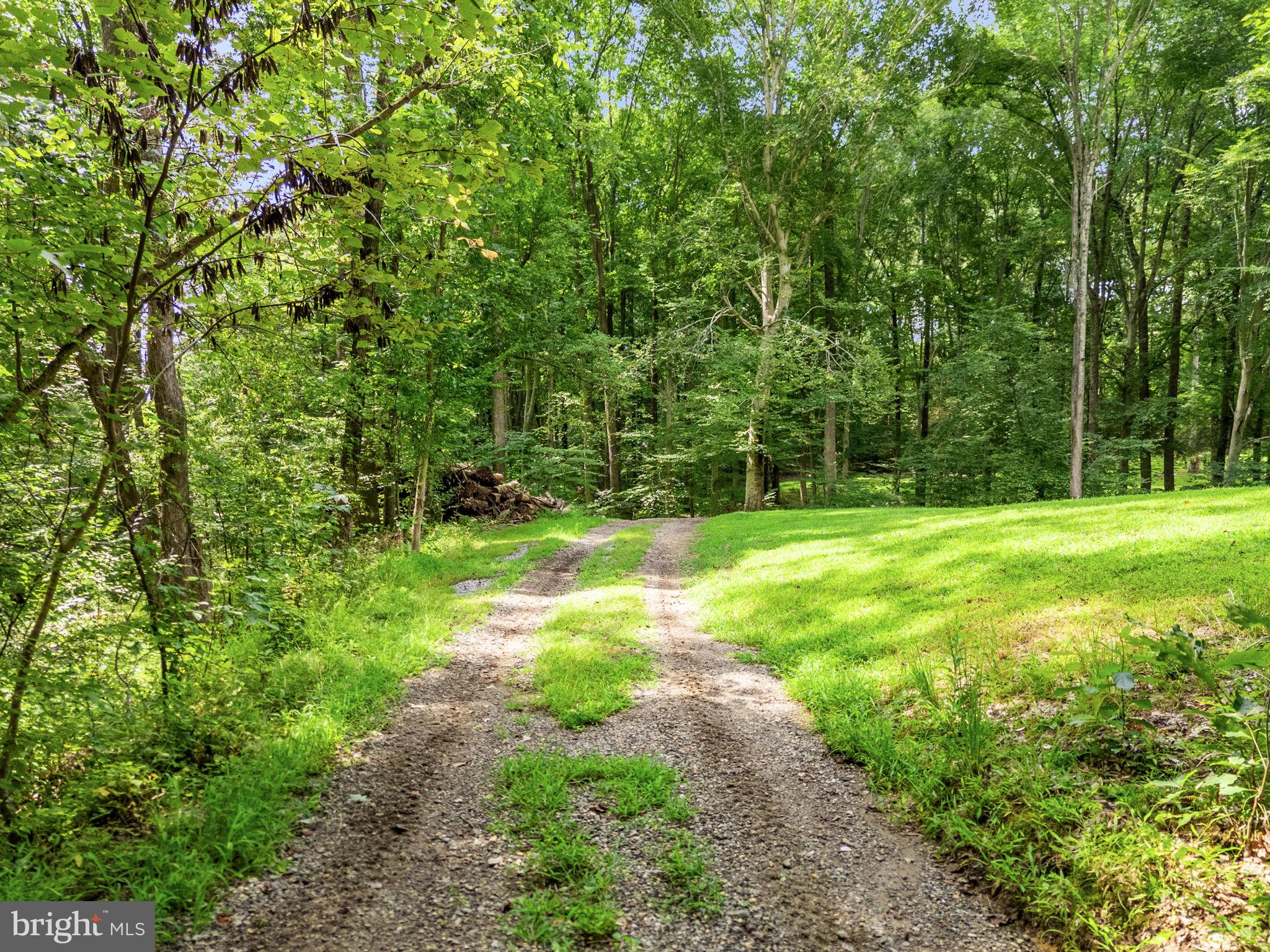 3937 Breaknock Road Bumpass, VA 23024 - Photo 13 of 94