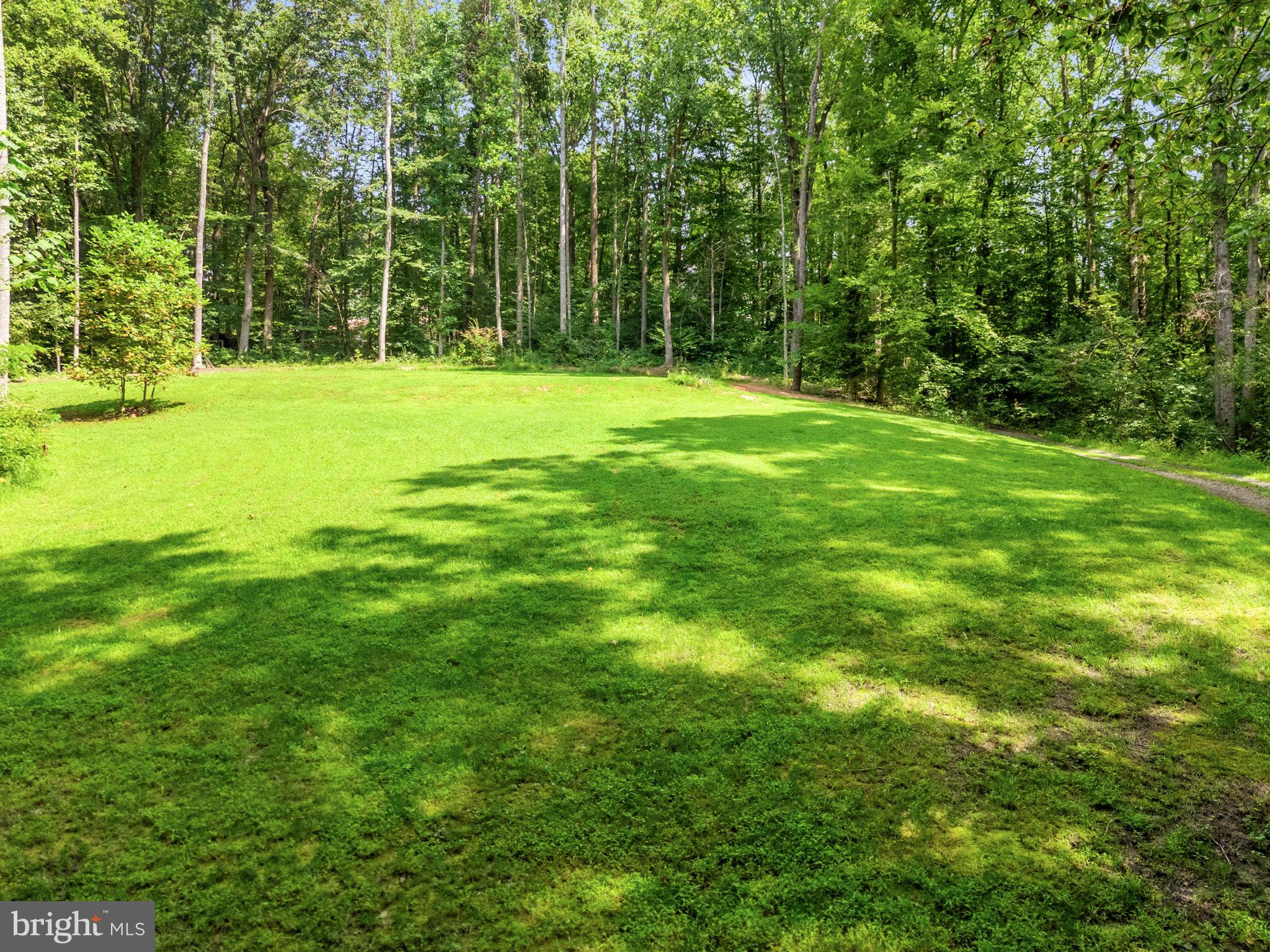 3937 Breaknock Road Bumpass, VA 23024 - Photo 14 of 94 Adjoining lot at 3816 Bear Tree Ln
